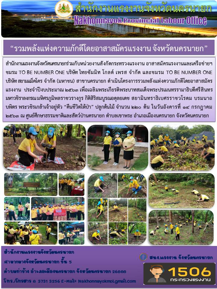 Mol-Thailand