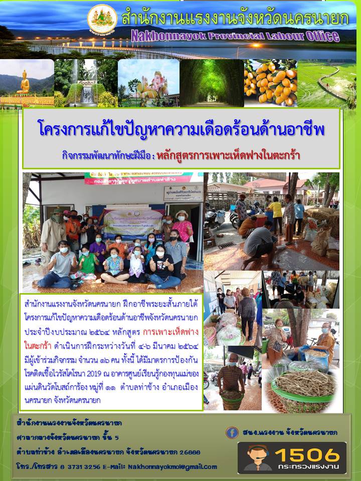 Mol-Thailand