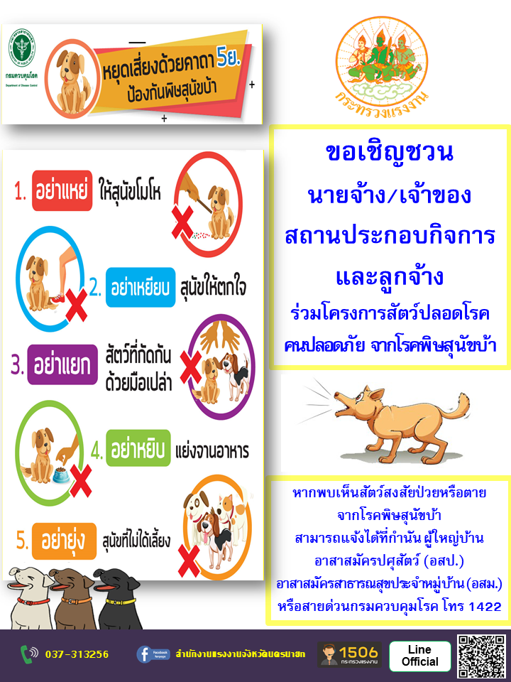 Mol-Thailand